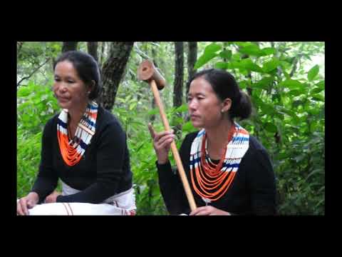 Late Shevotso Lizo || Hakhrieko Vol-1 || Chakhesang Folk Song