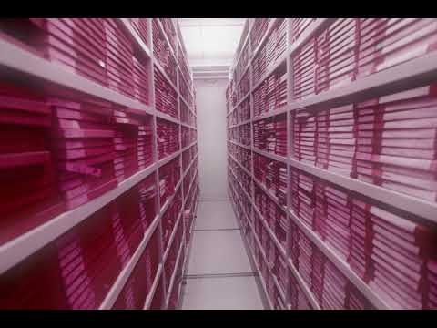 STP - Chcę feat. Tazmansky