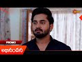 Abhinandana Promo 26 Jan 2026 Telugu Serial Gemini TV
