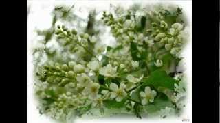 11 Theatre Of Tragedy  Motion (2002)