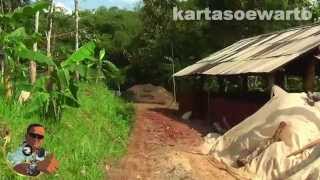 preview picture of video 'Pekaja Wiradadi - Sokaraja Village (Banyumas 2014)'