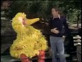 Classic Sesame Street Big Bird Shares Lunch