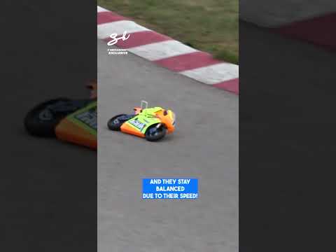 These tiny RC bikes are proving size really doesn't matter! 🤣🔥I 🎥: @Mikanews  #rc #bikes #racing