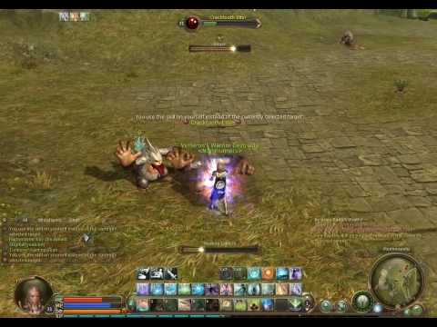 AION - Cleric pve