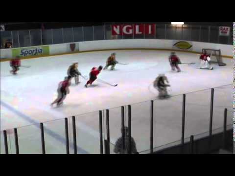 20.9.2014 KOOVEE -  PYRY  maalikooste