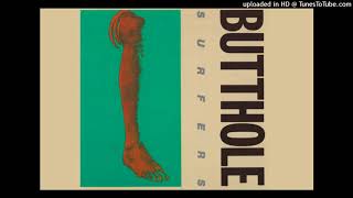 Butthole Surfers - Moving to Florida   1986