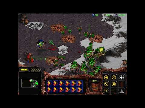 StarCraft Palinchron Concordance Mission 3: Up Against the Wall