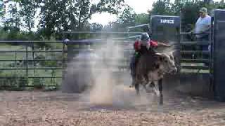 3yr old bull 741 Gentry's Pride