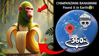 🐵🍌i found CHIMPANZINNI BANANINNI📌Gio At the End📍#video  #viral #earth #mapjunction