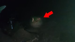 Download lagu Niat Pingin Solo Camping di Gunung Slamet, tapi suasana bikin merinding mp3 Download lagu Niat Pingin Solo Camping di Gunung Slamet, tapi suasana bikin merinding mp3