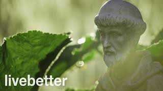 Healing Gregorian Chants with Relaxing Rain | Calming Music for Inner Peace | Monk Songs