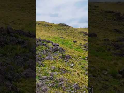 #cordobaargentina #lutti#vistashermosas #paisajesextremos #drone