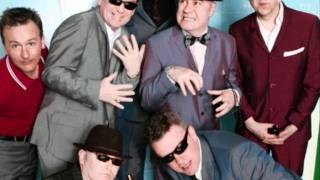 Madness - Bed and Breakfast Man
