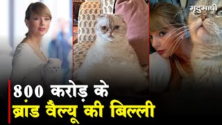 Taylor Swift's Cat Net Worth | 800 करोड़ के ब्रांड वैल्यू की बिल्ली | Olivia Benson | Mradubhashi