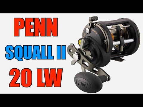 Penn SQLII20LW Squall II Levelwind Reel Review | J&H Tackle