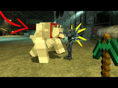 Half Life 2 Mods are Insane