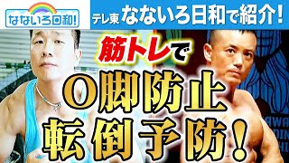 【なないろ日和！で紹介】膝の痛みや腰痛を予防するエクササイズ
