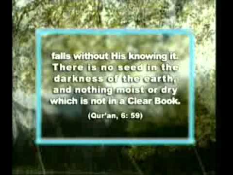 E fshehta e sproves [ Dokumentar Shqip ]