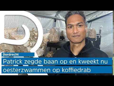 Patrick's oesterzwammen op koffiedrab veroveren Dordrecht