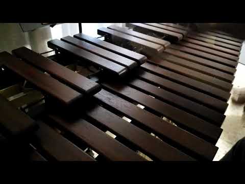 Inni di lode N°52: O Gesù Salvatore Marimba Cover