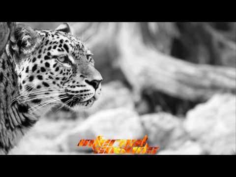 Guesswerk - Persian Dub