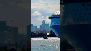 Wonder of the Seas Departs PortMiami 🛳️ #travel #vacation #cruise #dream