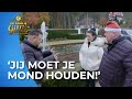 Mark vindt Nicol HEEL IRRITANT! ? | Familie Gillis #AFL9