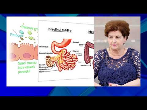 ȘTIAȚI CĂ -  APARATUL DIGESTIV