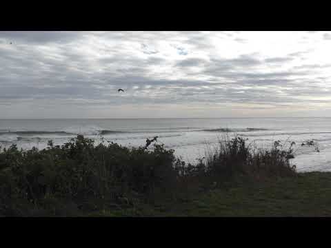 WestCoast Main 10 12 18 x2