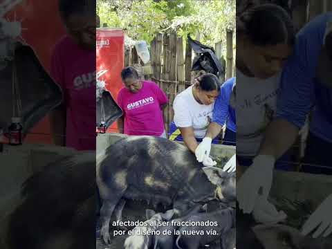 Formación Agropecuaria en Guamachito: Desarrollo y Oportunidades con Yuma Concesionaria