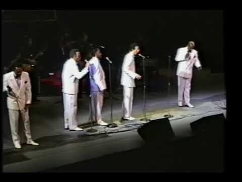 Fantastics - There Goes My Love