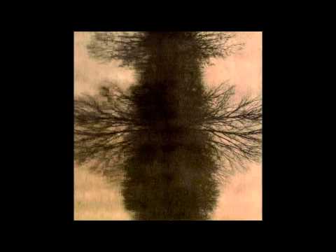 Maiya Hershey - Tides