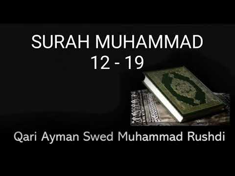 Surah Muhammad 12-19 :  Aymen Rushdi Swed- Practice Quran Recitation with Tajweed & Tarteel