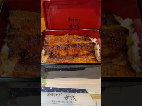 Japanese traditional food Unagi（eel）