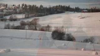 Driving home for Christmas (with a horse) - Chris Rea