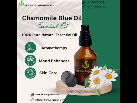 Chamomile Blue Oil (Roman), 5 kg, 100% Pure