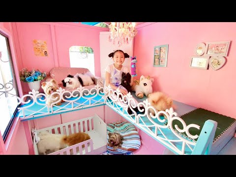 Bug's Dogs Morning Routine inside Dog Mansion