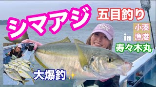 【シマアジ釣り】高級魚‼︎良型シマアジがまさかの大爆釣⁉︎in小湊寿々木丸