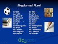 Almanca -Türkçe Çoğul cümle dersi