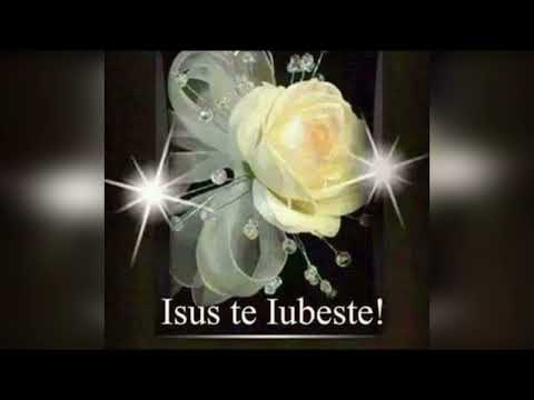 ELENA MUNTEANU - ASCULTĂ DOAMNE STRIGĂTELE MELE