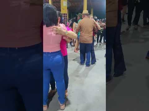 #trending #forró #forrozeiros