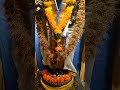 Om Namo Narayana Lord Venkateswara Swami Govinda Govindaa