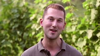 Specogna: Il Terroir dei Colli Orientali del Friuli