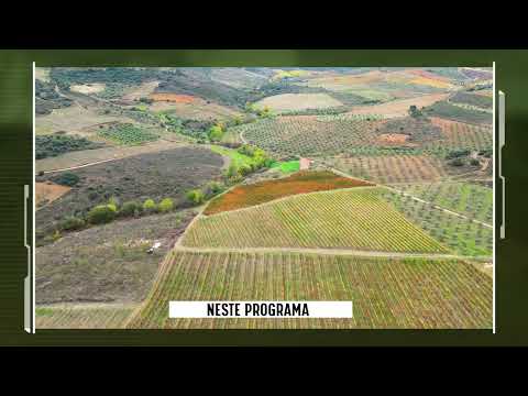 Faça Chuva Faça Sol de 29 de fevereiro de 2026, Promoção