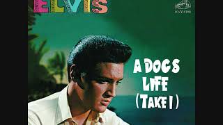 Elvis Presley - A Dog&#39;s Life (Take 1)