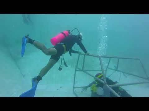 Buzo de Rescate Profesional💪🚒 SOMOS BUZOS NAUI