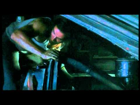 peaceloveandtortue’s Video 111149568553 zDBp_f2Hw3Q