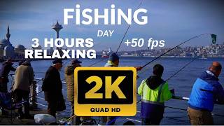 Download lagu Peaceful Seaside Ambience 🌊 Fishing, Ocean Sounds & Birds mp3