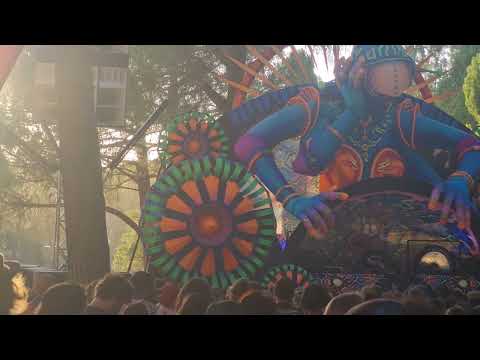 Juno Reactor : Zna Gathering 2022 Sunset