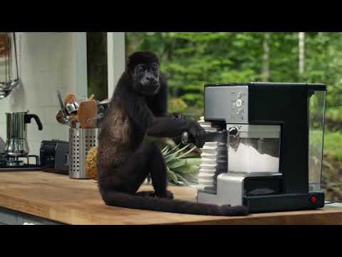IKEA - Rediscover the joy of the kitchen advert song